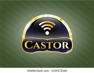  Shiny badge with wifi signal icon and Castor text inside