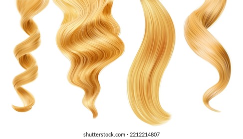 Shiny blond woman hair strand, curl. Straight, curly ponytail hairstyle. Haircut, hair care and beauty salon vector 3d, realistic locks of long wavy blonde hair with smooth texture, shining surface