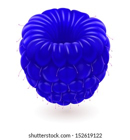Shiny blue raspberry isolated on white background.