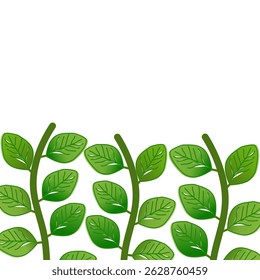 Shiny Botanical Vines Vector Illustration, Green Leaf Border Vector on White Background
