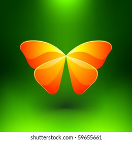 Shiny Butterfly