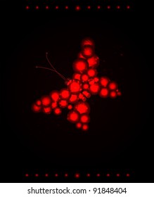 Shiny Butterfly abstract vector