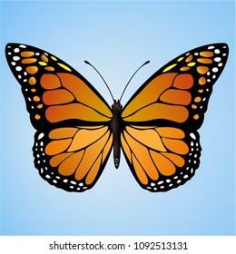 Shiny colorful butterfly Monarch, vector isolated on blue background