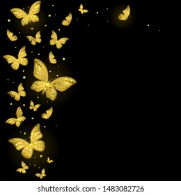 shiny decorative golden butterflies on a black background