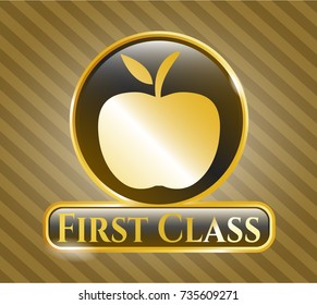  Shiny emblem with apple icon and First Class text inside