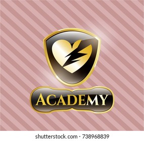  Shiny emblem with broken heart icon and Academy text inside