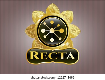  Shiny emblem with business network icon and Recta text inside