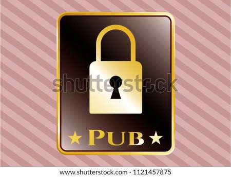  Shiny emblem with closed lock icon and Pub text inside