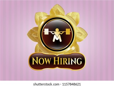  Shiny emblem with deep squat icon and Now Hiring text inside