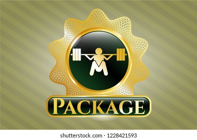  Shiny emblem with deep squat icon and Package text inside