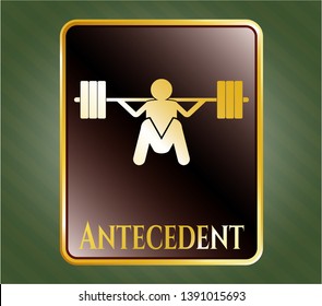  Shiny emblem with deep squat icon and Antecedent text inside
