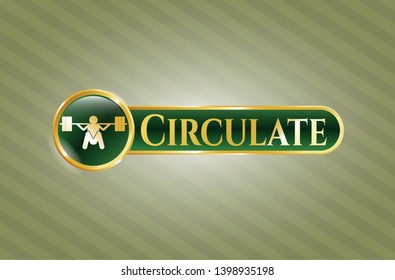  Shiny emblem with deep squat icon and Circulate text inside