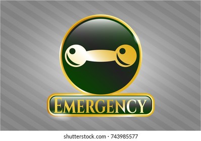  Shiny emblem with dumbbell icon and Emergency text inside