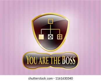  Shiny emblem with flowchart icon and You are the Boss text inside