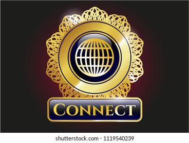  Shiny emblem with globe, website icon and Connect text inside