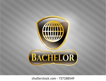  Shiny emblem with globe, website icon and Bachelor text inside