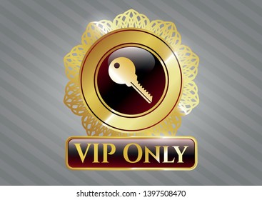  Shiny emblem with key icon and VIP Only text inside