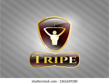  Shiny emblem with lat pull down, exercise icon and Tripe text inside