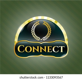  Shiny emblem with laurel wreath icon and Connect text inside