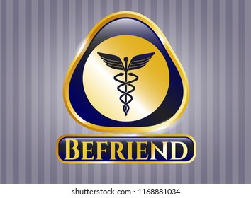  Shiny emblem with medicine icon and Befriend text inside