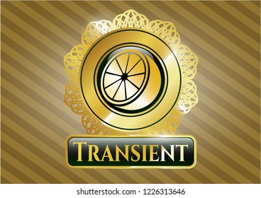  Shiny emblem with orange icon and Transient text inside