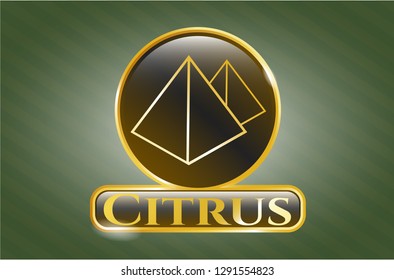  Shiny emblem with pyramids icon and Citrus text inside