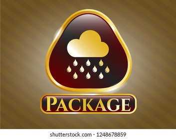  Shiny emblem with rain icon and Package text inside