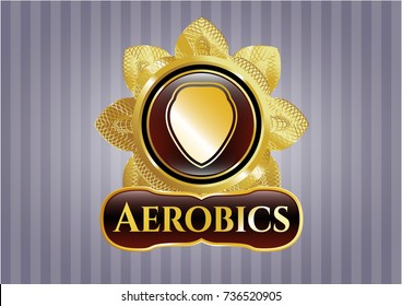 Shiny emblem with shield icon and Aerobics text inside