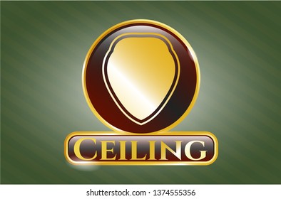  Shiny emblem with shield icon and Ceiling text inside