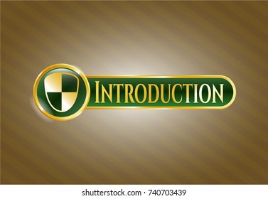  Shiny emblem with shield, safety icon and Introduction text inside