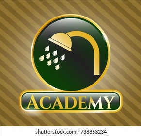  Shiny emblem with shower icon and Academy text inside