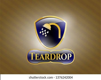 Shiny emblem with shower icon and Teardrop text inside