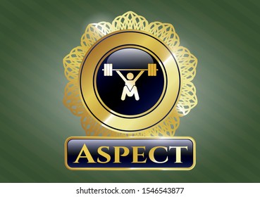  Shiny emblem with snatch, weightlifting icon and Aspect text inside