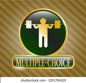  Shiny emblem with squat icon and Multiple-choice text inside