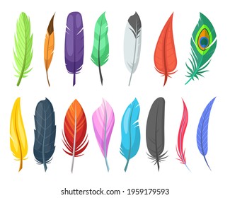 Shiny feathers of birds flat vector illustrations set. Variety of colorful quills, ostrich feathers isolated on white background. Birds, nature, decoration concept