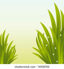 shiny fresh grass background