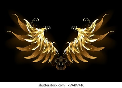 Shiny, golden angel wings on dark background.