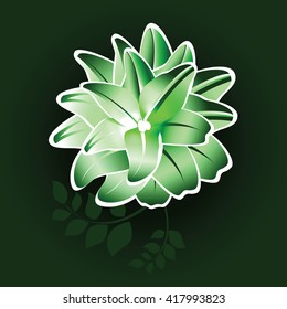 Shiny Green Flower.