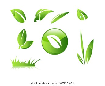 shiny green leaves