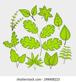 Shiny green leaves on grey background for Nature concept.