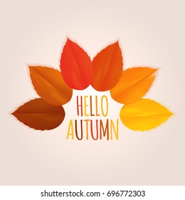 Shiny Hello Autumn Natural Leaves Background. Vector Illustration