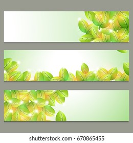 Hojas brillantes adornadas, cabeceras de sitio web para el concepto de Naturaleza o Ecología.