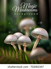 Shiny magic mushrooms growing in forest ground and green leaf on dark blurred background vector illustration