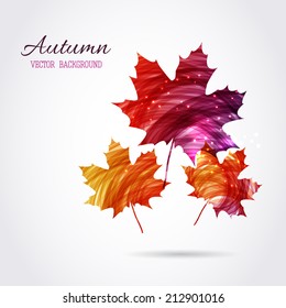 Shiny maple leaf. Vector illustration.
