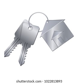 Shiny metal keys with silver trinket from dream house