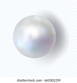 Shiny nacre sea pearl with shadow isolated on transparent background. Mother of pearl. Vector illustration.