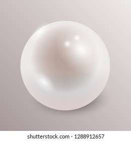 Shiny natural white pearl with light reflection realistic vector illustration. Oyster pearl ball for luxury accessories.
