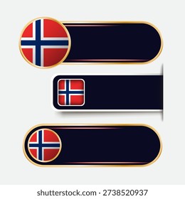 Shiny Norway Flag Banners Set
