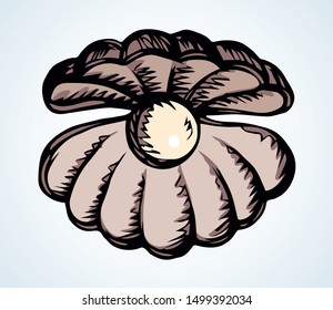 Shiny old elegant pecten perl in nacre snail on light paper backdrop text space. Freehand outline black ink pen hand drawn abstract emblem design in retro art doodle engrave print style. Close up view
