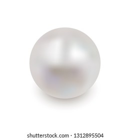 Shiny oyster pearl for luxury accessories. Realistic white pearl with shadow isolated on white background. Sphere shiny sea pearl. Beautiful natural white pearl. Shiny 3D jewel with light effects